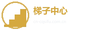 梯子游戏中心 Logo